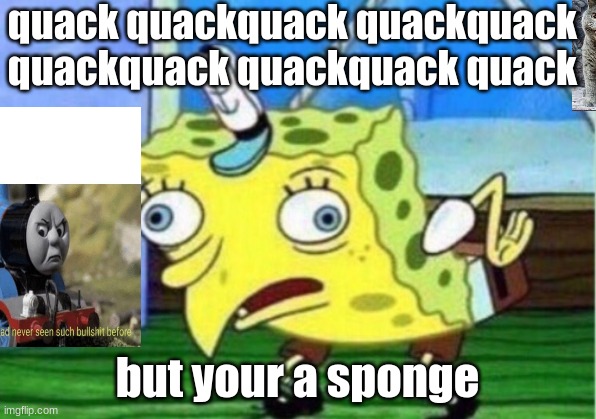 Mocking Spongebob Meme | quack quackquack quackquack quackquack quackquack quack; but your a sponge | image tagged in memes,mocking spongebob | made w/ Imgflip meme maker