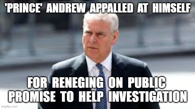 'PRINCE'  ANDREW  APPALLED  AT  HIMSELF; FOR  RENEGING  ON  PUBLIC  PROMISE  TO  HELP  INVESTIGATION | image tagged in prince andrew,jeffery epstein,pedo island,appalled | made w/ Imgflip meme maker