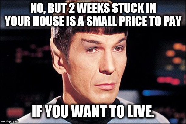 Condescending Spock | NO, BUT 2 WEEKS STUCK IN YOUR HOUSE IS A SMALL PRICE TO PAY IF YOU WANT TO LIVE. | image tagged in condescending spock | made w/ Imgflip meme maker