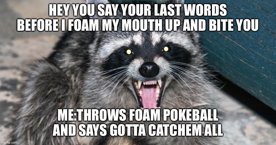 HEY YOU SAY YOUR LAST WORDS BEFORE I FOAM MY MOUTH UP AND BITE YOU; ME:THROWS FOAM POKEBALL AND SAYS GOTTA CATCHEM ALL | image tagged in raccoon | made w/ Imgflip meme maker