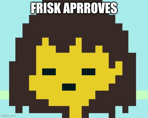 Frisk's face | FRISK APRROVES | image tagged in frisk's face | made w/ Imgflip meme maker