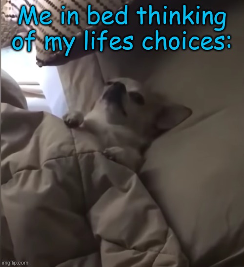 Me in bed thinking of my lifes choices: | made w/ Imgflip meme maker