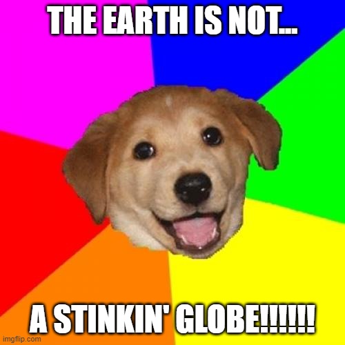 Advice Dog Meme | THE EARTH IS NOT... A STINKIN' GLOBE!!!!!! | image tagged in memes,advice dog | made w/ Imgflip meme maker