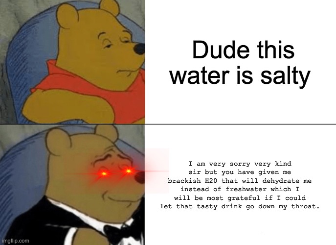Tuxedo Winnie The Pooh Meme | Dude this water is salty; I am very sorry very kind sir but you have given me brackish H20 that will dehydrate me instead of freshwater which I will be most grateful if I could let that tasty drink go down my throat. | image tagged in memes,tuxedo winnie the pooh | made w/ Imgflip meme maker