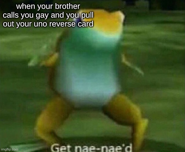 Get nae-nae'd | when your brother calls you gay and you pull out your uno reverse card | image tagged in funny,memes,get nae-nae'd | made w/ Imgflip meme maker