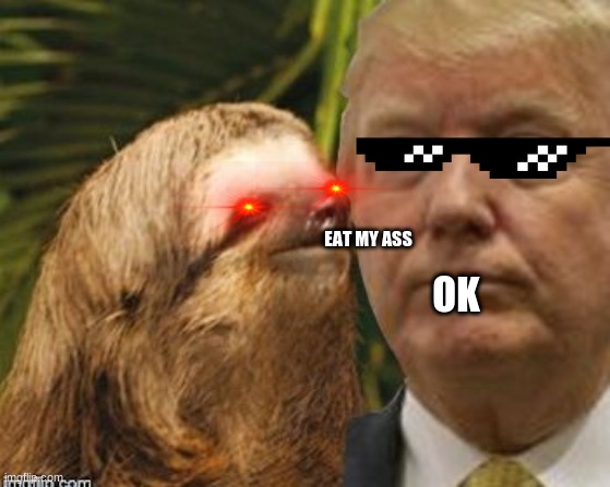 Political advice sloth | EAT MY ASS; OK | image tagged in political advice sloth | made w/ Imgflip meme maker