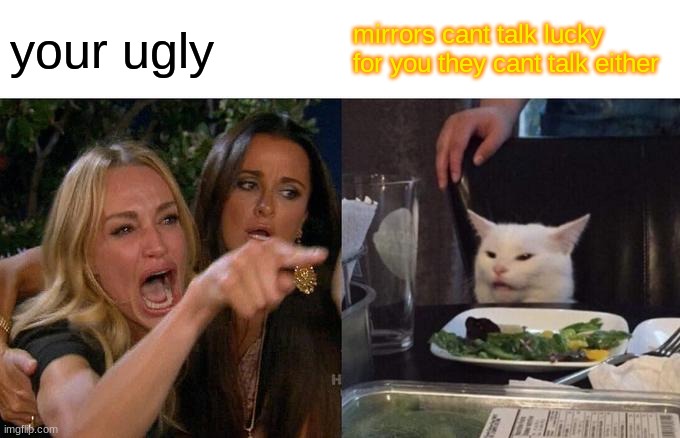 Woman Yelling At Cat | your ugly; mirrors cant talk lucky for you they cant talk either | image tagged in memes,woman yelling at cat | made w/ Imgflip meme maker