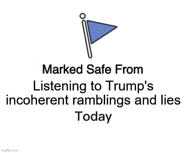 Marked Safe From | Listening to Trump's incoherent ramblings and lies | image tagged in memes,marked safe from | made w/ Imgflip meme maker