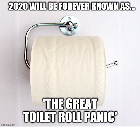 Toilet Roll | 2020 WILL BE FOREVER KNOWN AS... 'THE GREAT TOILET ROLL PANIC' | image tagged in toilet roll | made w/ Imgflip meme maker