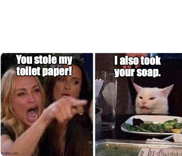You stole my toilet paper. | I also took your soap. You stole my toilet paper! | image tagged in lady screams at cat | made w/ Imgflip meme maker