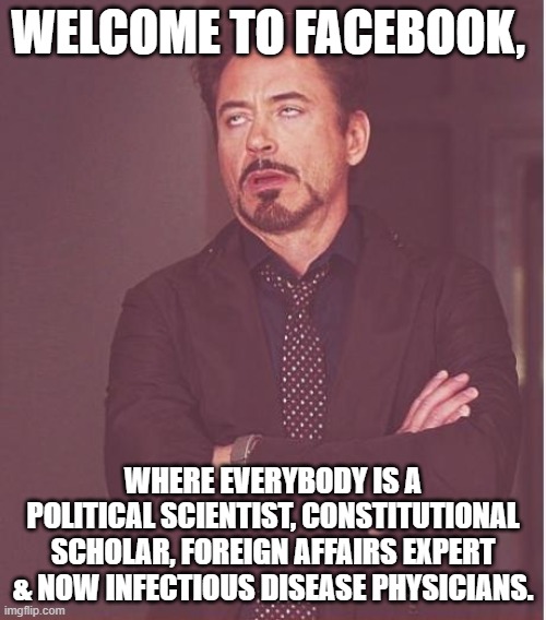 Face You Make Robert Downey Jr | WELCOME TO FACEBOOK, WHERE EVERYBODY IS A POLITICAL SCIENTIST, CONSTITUTIONAL SCHOLAR, FOREIGN AFFAIRS EXPERT & NOW INFECTIOUS DISEASE PHYSICIANS. | image tagged in memes,face you make robert downey jr | made w/ Imgflip meme maker