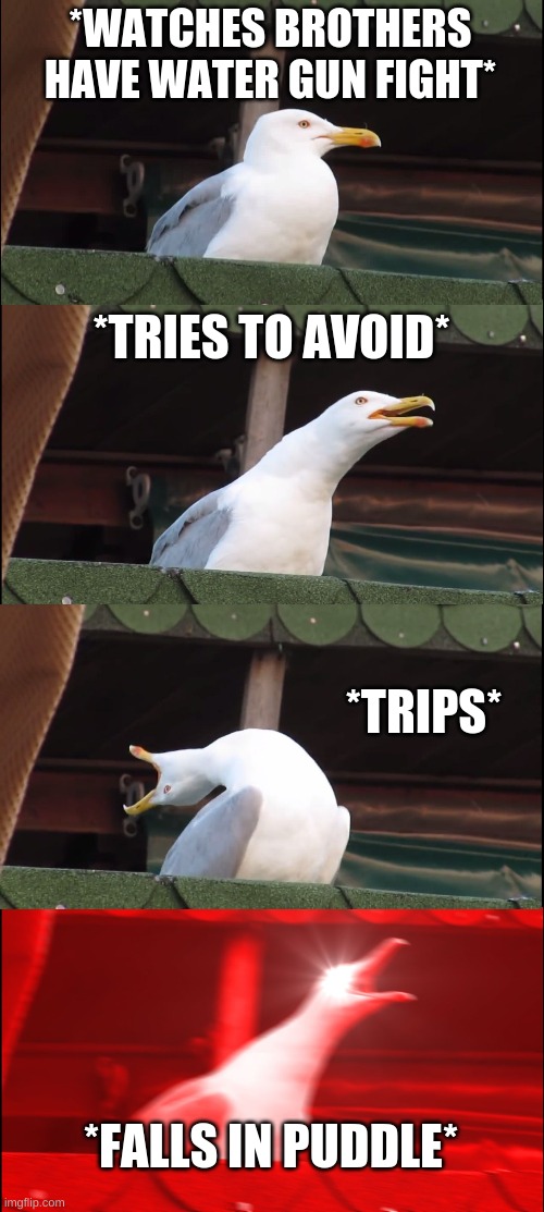 Inhaling Seagull Meme | *WATCHES BROTHERS HAVE WATER GUN FIGHT*; *TRIES TO AVOID*; *TRIPS*; *FALLS IN PUDDLE* | image tagged in memes,inhaling seagull | made w/ Imgflip meme maker