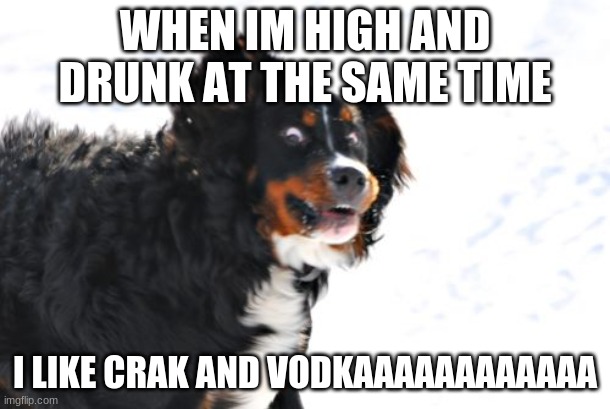 Crazy Dawg |  WHEN IM HIGH AND DRUNK AT THE SAME TIME; I LIKE CRAK AND VODKAAAAAAAAAAAA | image tagged in memes,crazy dawg | made w/ Imgflip meme maker