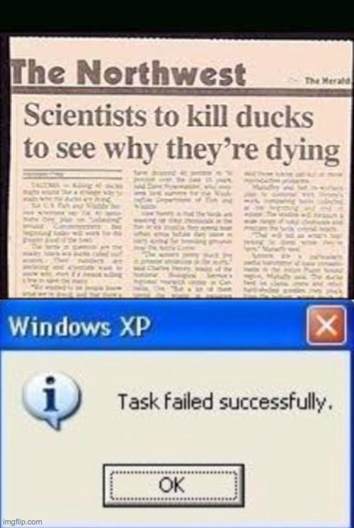 image tagged in task failed successfully,ducks,funny,meme,i wonder why | made w/ Imgflip meme maker