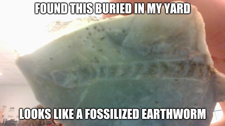 Fossilized Worm | FOUND THIS BURIED IN MY YARD; LOOKS LIKE A FOSSILIZED EARTHWORM | image tagged in worms,fossils | made w/ Imgflip meme maker