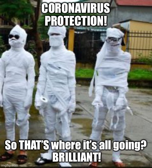 Coronavirus | CORONAVIRUS PROTECTION! So THAT’S where it’s all going?
 BRILLIANT! | image tagged in coronavirus,toilet paper,funny,virus,virus protection | made w/ Imgflip meme maker
