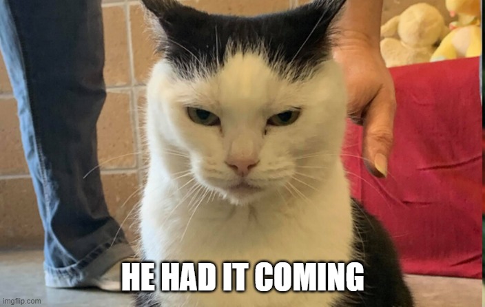 mean cat | HE HAD IT COMING | image tagged in mean cat | made w/ Imgflip meme maker