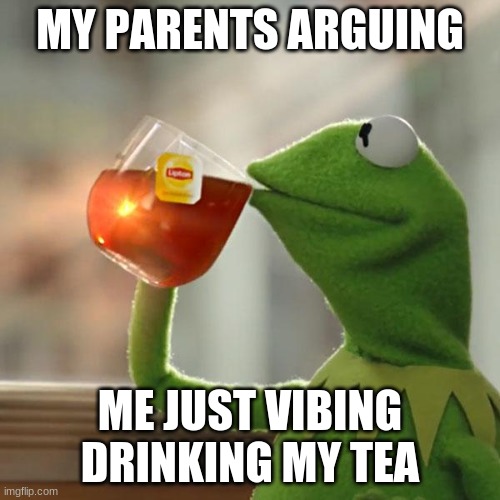 But That's None Of My Business Meme | MY PARENTS ARGUING; ME JUST VIBING DRINKING MY TEA | image tagged in memes,but thats none of my business,kermit the frog | made w/ Imgflip meme maker