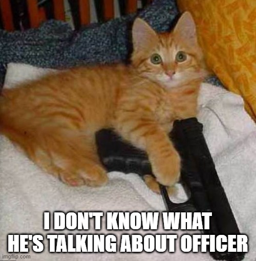 I DON'T KNOW WHAT HE'S TALKING ABOUT OFFICER | made w/ Imgflip meme maker