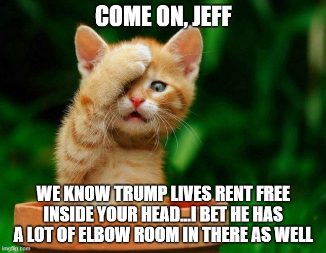 Come on | COME ON, JEFF WE KNOW TRUMP LIVES RENT FREE INSIDE YOUR HEAD...I BET HE HAS A LOT OF ELBOW ROOM IN THERE AS WELL | image tagged in come on | made w/ Imgflip meme maker
