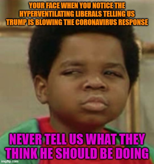Suspicious | YOUR FACE WHEN YOU NOTICE THE HYPERVENTILATING LIBERALS TELLING US TRUMP IS BLOWING THE CORONAVIRUS RESPONSE; NEVER TELL US WHAT THEY THINK HE SHOULD BE DOING | image tagged in suspicious | made w/ Imgflip meme maker