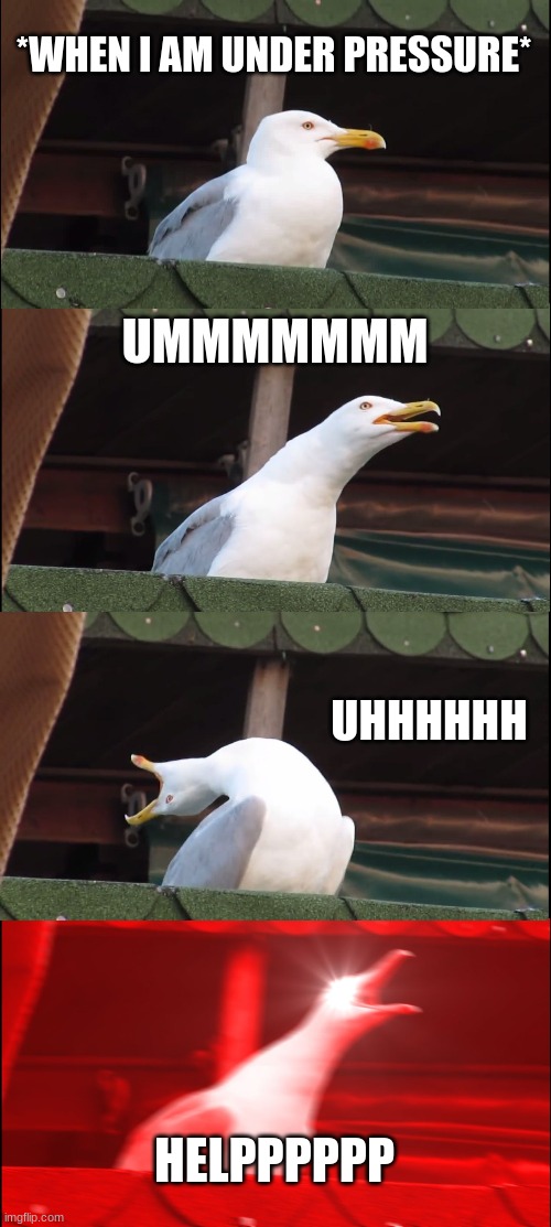 Inhaling Seagull Meme | *WHEN I AM UNDER PRESSURE*; UMMMMMMM; UHHHHHH; HELPPPPPP | image tagged in memes,inhaling seagull | made w/ Imgflip meme maker