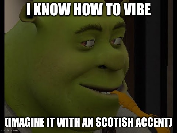 Shreksophone | I KNOW HOW TO VIBE (IMAGINE IT WITH AN SCOTISH ACCENT) | image tagged in shreksophone | made w/ Imgflip meme maker