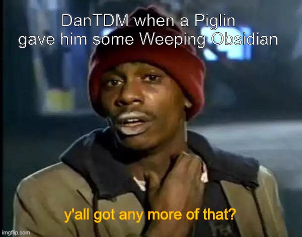 Y'all Got Any More Of That | DanTDM when a Piglin gave him some Weeping Obsidian; y'all got any more of that? | image tagged in memes,y'all got any more of that | made w/ Imgflip meme maker