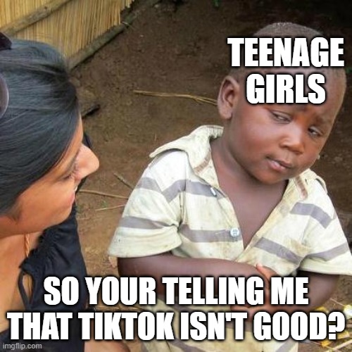 Third World Skeptical Kid | TEENAGE GIRLS; SO YOUR TELLING ME THAT TIKTOK ISN'T GOOD? | image tagged in memes,third world skeptical kid | made w/ Imgflip meme maker