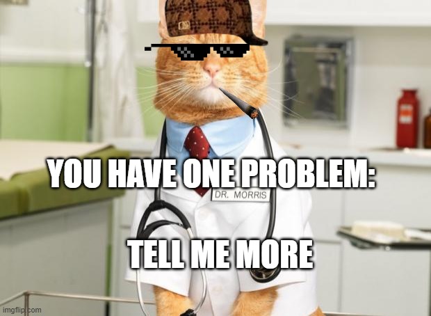 Cat Doctor | YOU HAVE ONE PROBLEM:; TELL ME MORE | image tagged in cat doctor | made w/ Imgflip meme maker