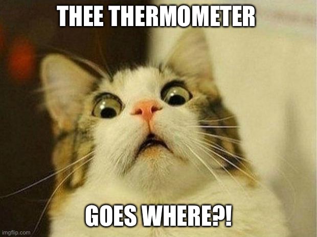 Scared Cat Meme | THEE THERMOMETER; GOES WHERE?! | image tagged in memes,scared cat | made w/ Imgflip meme maker