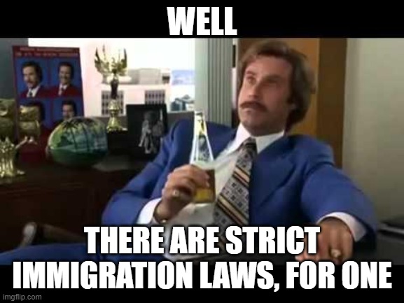 Well That Escalated Quickly Meme | WELL THERE ARE STRICT IMMIGRATION LAWS, FOR ONE | image tagged in memes,well that escalated quickly | made w/ Imgflip meme maker