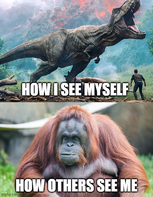 Self-awareness Issues | HOW I SEE MYSELF; HOW OTHERS SEE ME | image tagged in orangutan,dinosaur,self esteem | made w/ Imgflip meme maker