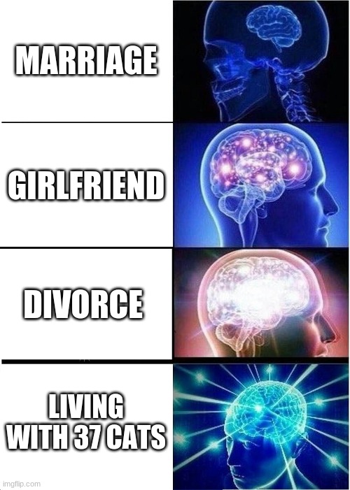 Expanding Brain | MARRIAGE; GIRLFRIEND; DIVORCE; LIVING WITH 37 CATS | image tagged in memes,expanding brain | made w/ Imgflip meme maker