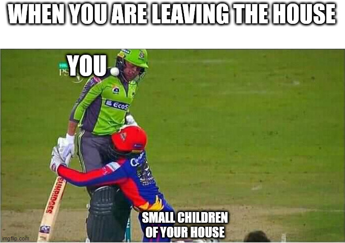 Cricket | WHEN YOU ARE LEAVING THE HOUSE; YOU; SMALL CHILDREN OF YOUR HOUSE | image tagged in cricket | made w/ Imgflip meme maker