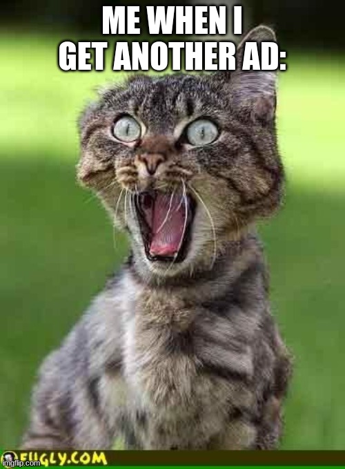 Cat freak out | ME WHEN I GET ANOTHER AD: | image tagged in cat freak out | made w/ Imgflip meme maker