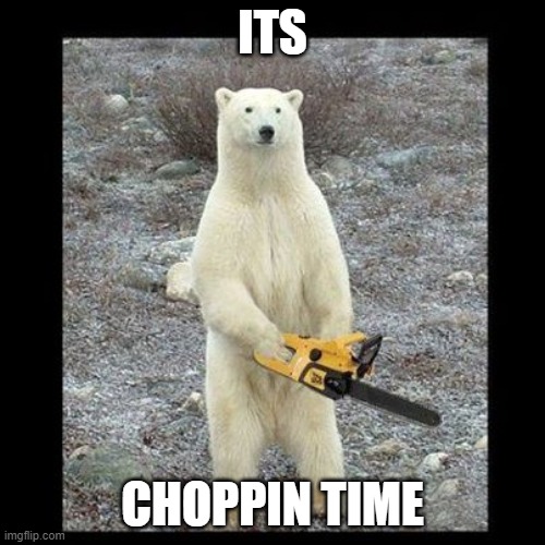 Chainsaw Bear | ITS; CHOPPIN TIME | image tagged in memes,chainsaw bear | made w/ Imgflip meme maker