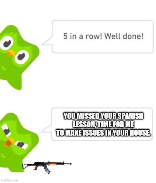 Duolingo 5 in a row | YOU MISSED YOUR SPANISH LESSON, TIME FOR ME TO MAKE ISSUES IN YOUR HOUSE. | image tagged in duolingo 5 in a row | made w/ Imgflip meme maker
