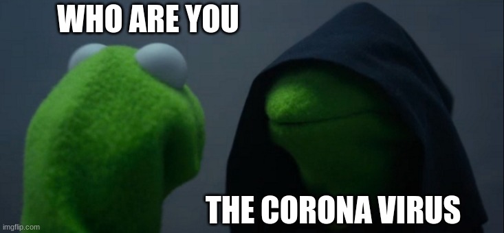 Evil Kermit Meme | WHO ARE YOU; THE CORONA VIRUS | image tagged in memes,evil kermit | made w/ Imgflip meme maker