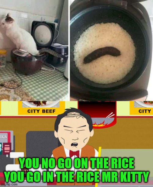 YOU NO GO ON THE RICE YOU GO IN THE RICE MR KITTY | image tagged in south-park-chinese-guy | made w/ Imgflip meme maker