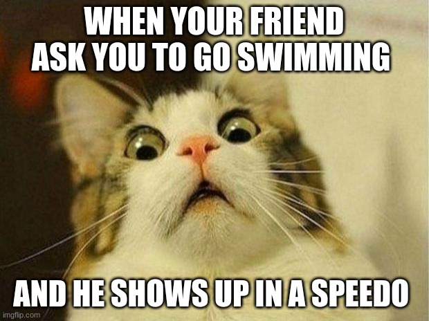 Scared Cat | WHEN YOUR FRIEND ASK YOU TO GO SWIMMING; AND HE SHOWS UP IN A SPEEDO | image tagged in memes,scared cat | made w/ Imgflip meme maker