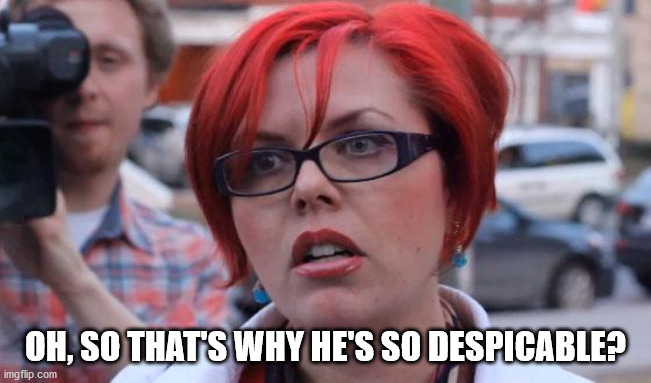 Angry Feminist | OH, SO THAT'S WHY HE'S SO DESPICABLE? | image tagged in angry feminist | made w/ Imgflip meme maker