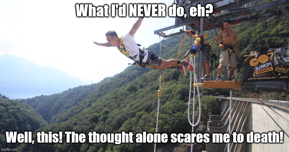 Bungee Jumping | What I'd NEVER do, eh? Well, this! The thought alone scares me to death! | image tagged in bungee jumping | made w/ Imgflip meme maker