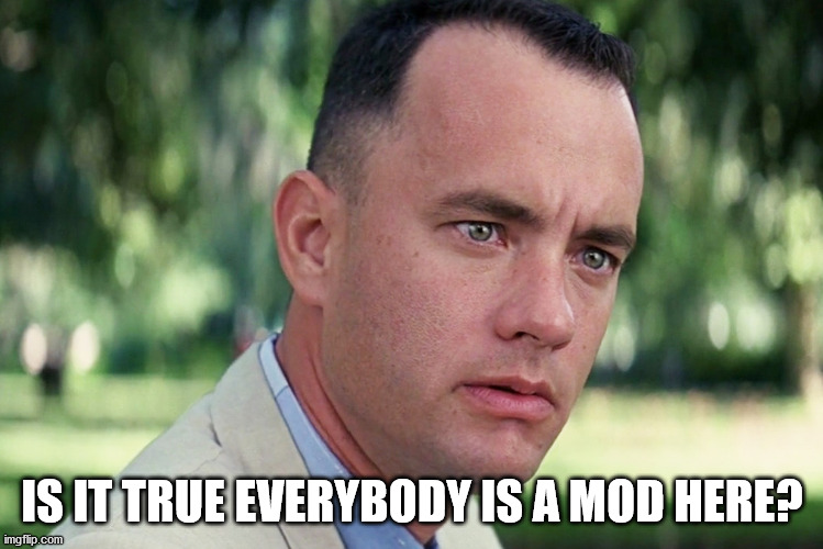 And Just Like That Meme | IS IT TRUE EVERYBODY IS A MOD HERE? | image tagged in memes,and just like that | made w/ Imgflip meme maker