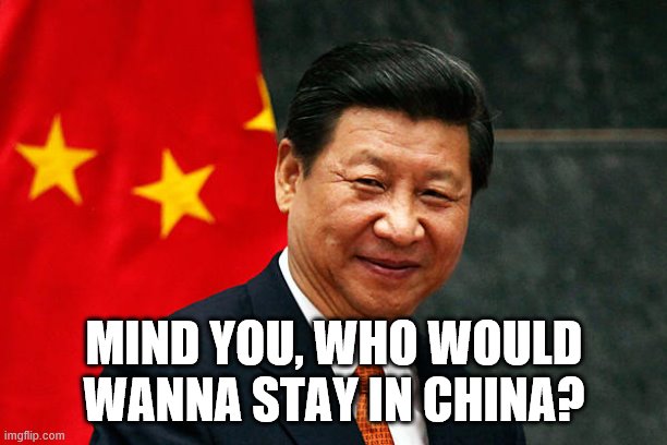 Xi Jinping | MIND YOU, WHO WOULD WANNA STAY IN CHINA? | image tagged in xi jinping | made w/ Imgflip meme maker