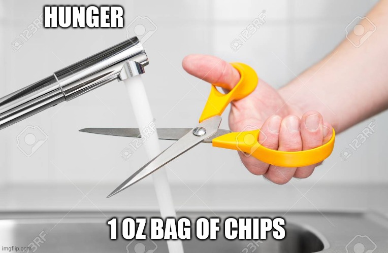 cutting water with scissors | HUNGER; 1 OZ BAG OF CHIPS | image tagged in cutting water with scissors | made w/ Imgflip meme maker