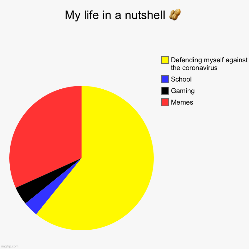 My life in a nutshell ? | Memes, Gaming, School, Defending myself against the coronavirus | image tagged in charts,pie charts | made w/ Imgflip chart maker