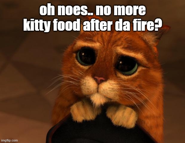 oh noes.. no more kitty food after da fire? | image tagged in puss in boots eyes | made w/ Imgflip meme maker