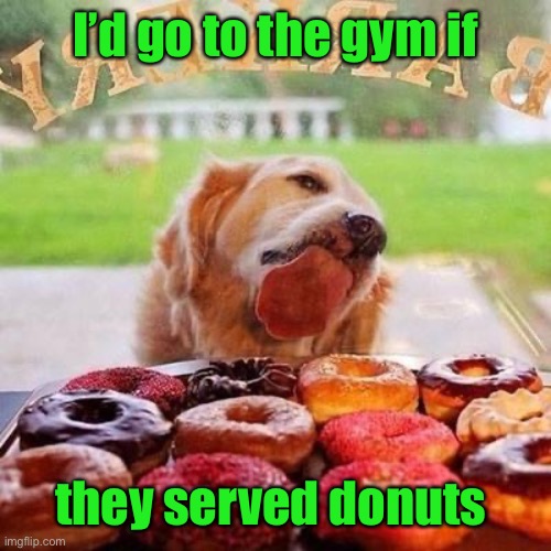 Dog Donuts | I’d go to the gym if they served donuts | image tagged in dog donuts | made w/ Imgflip meme maker