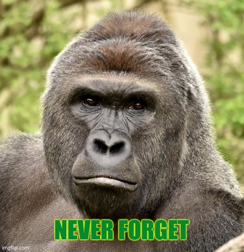 Har | NEVER FORGET | image tagged in har | made w/ Imgflip meme maker